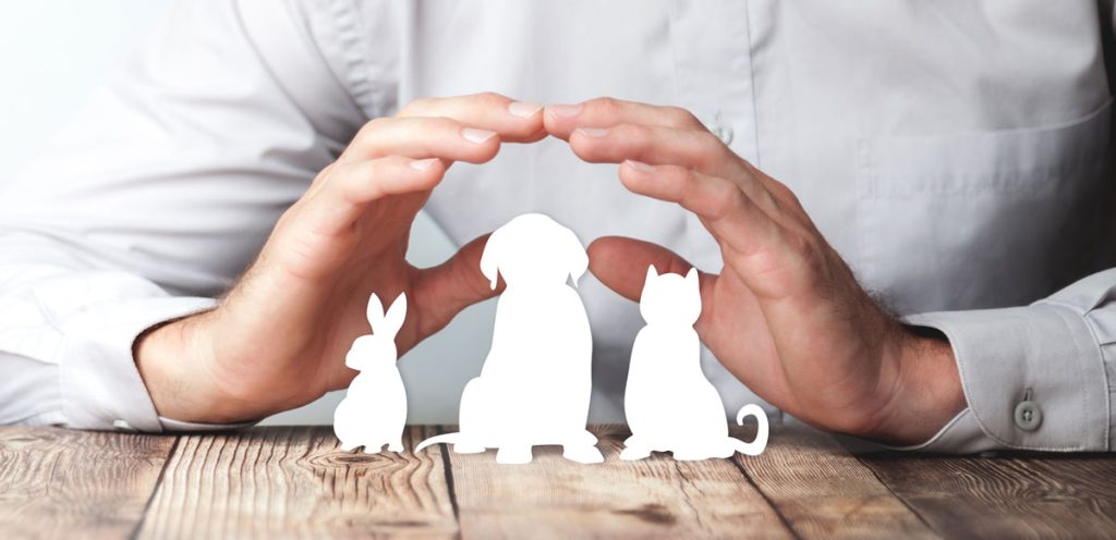 Protecting Hands Over Paper Animals On Wooden Table - Pet Care And Insurance Concept